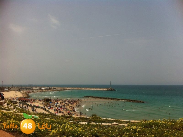 majdal3asqlan519 (20).JPG